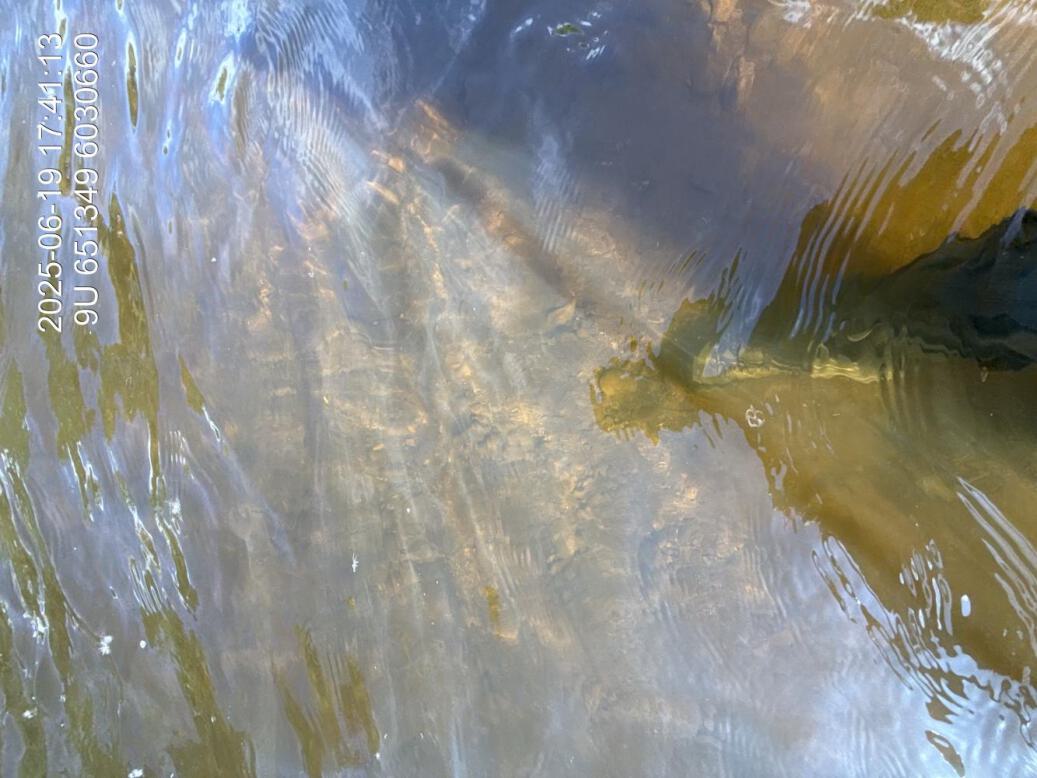 Substrate composition