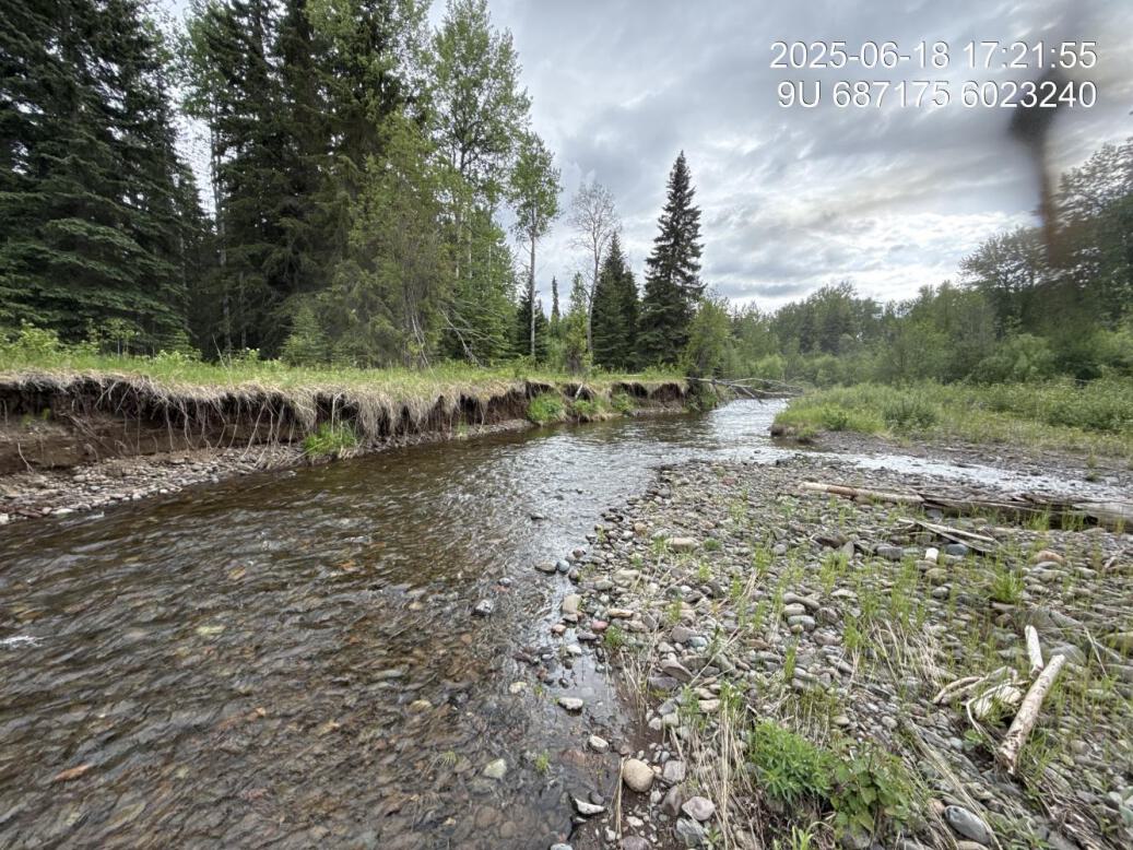 View of upstream end of site