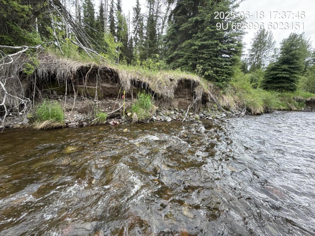 View of upstream end of site