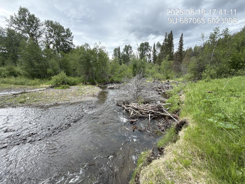 View of downstream end of site