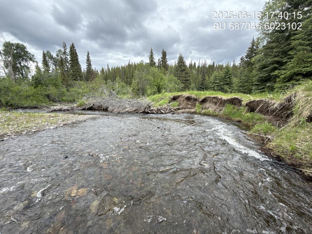 View of downstream end of site