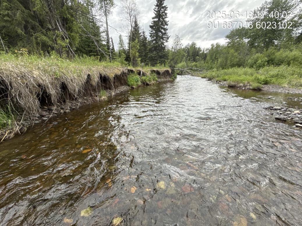 Substrate composition