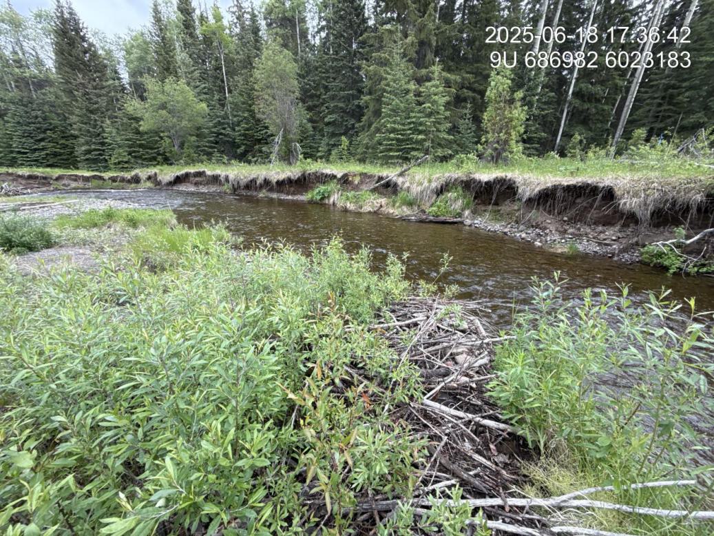 Dam breach downstream
