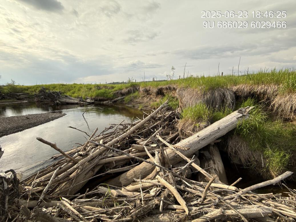 Maintenance requirements