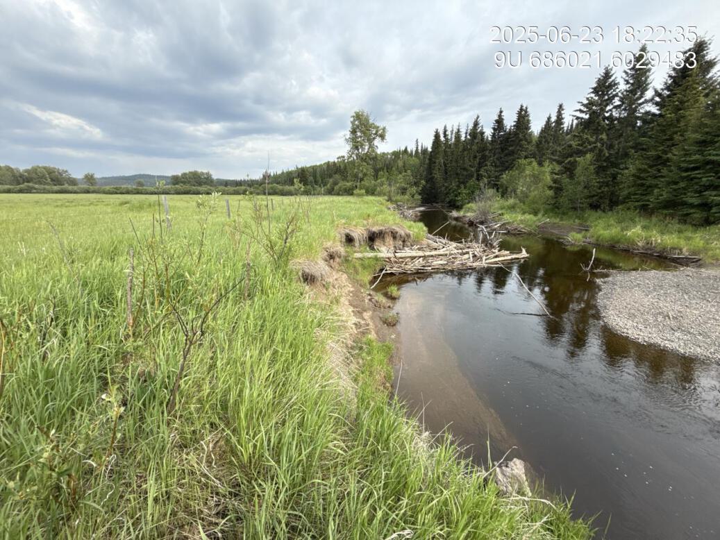 View of upstream end of site