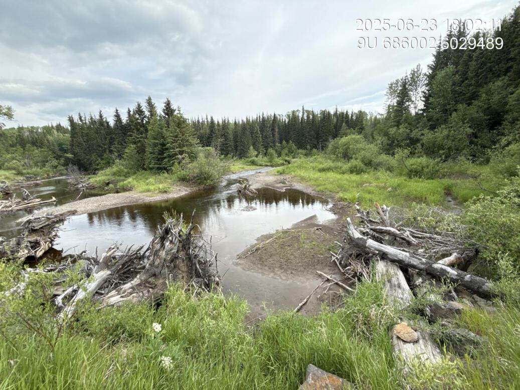 View of upstream end of site