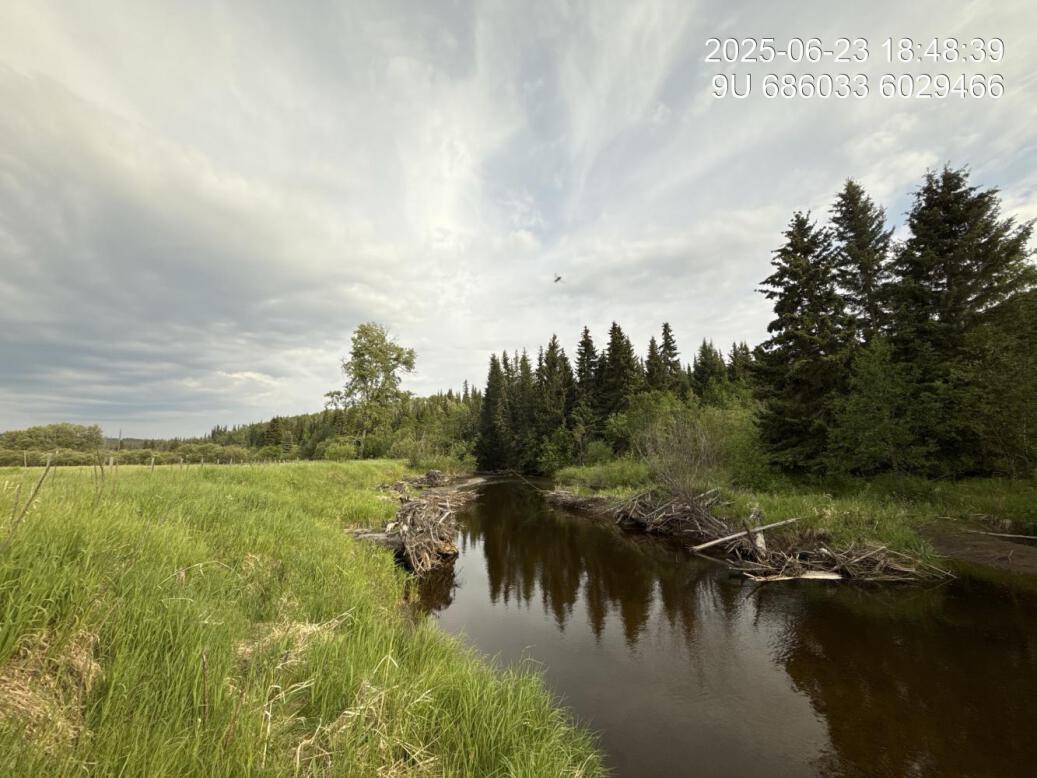 View of downstream end of site