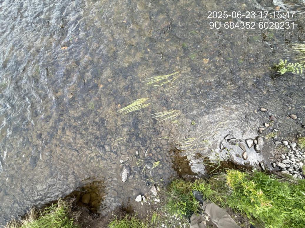 Substrate composition