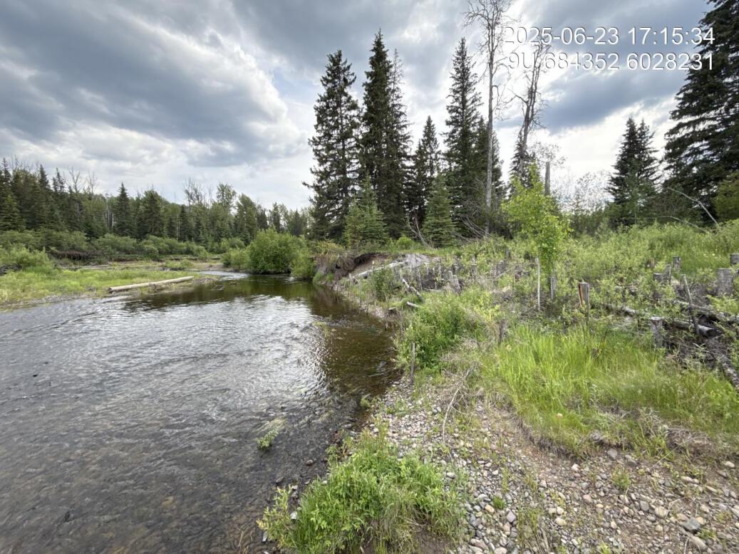 View of upstream end of site