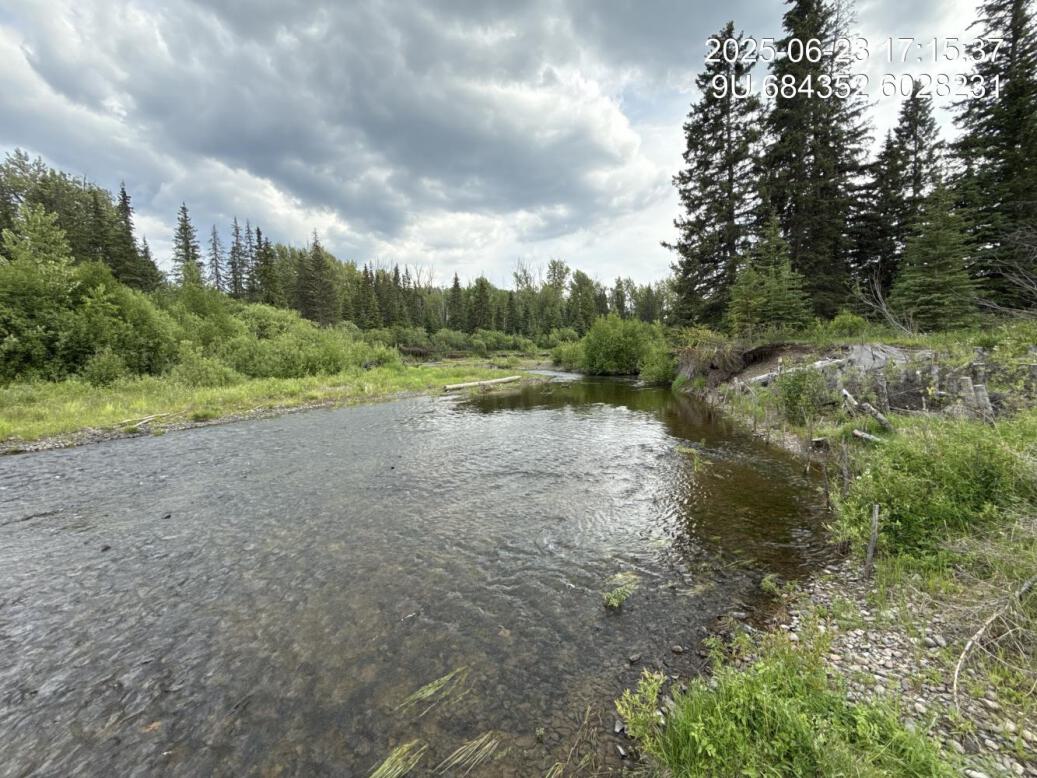 View of upstream end of site
