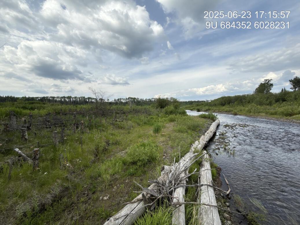 View of downstream end of site