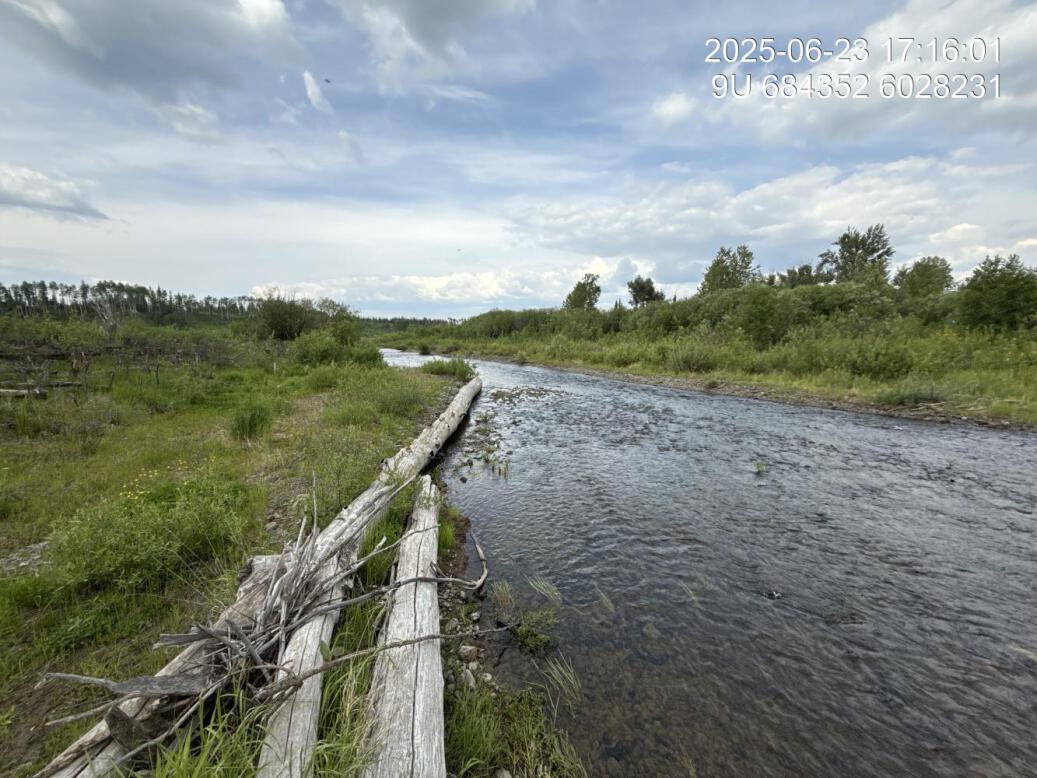 View of downstream end of site