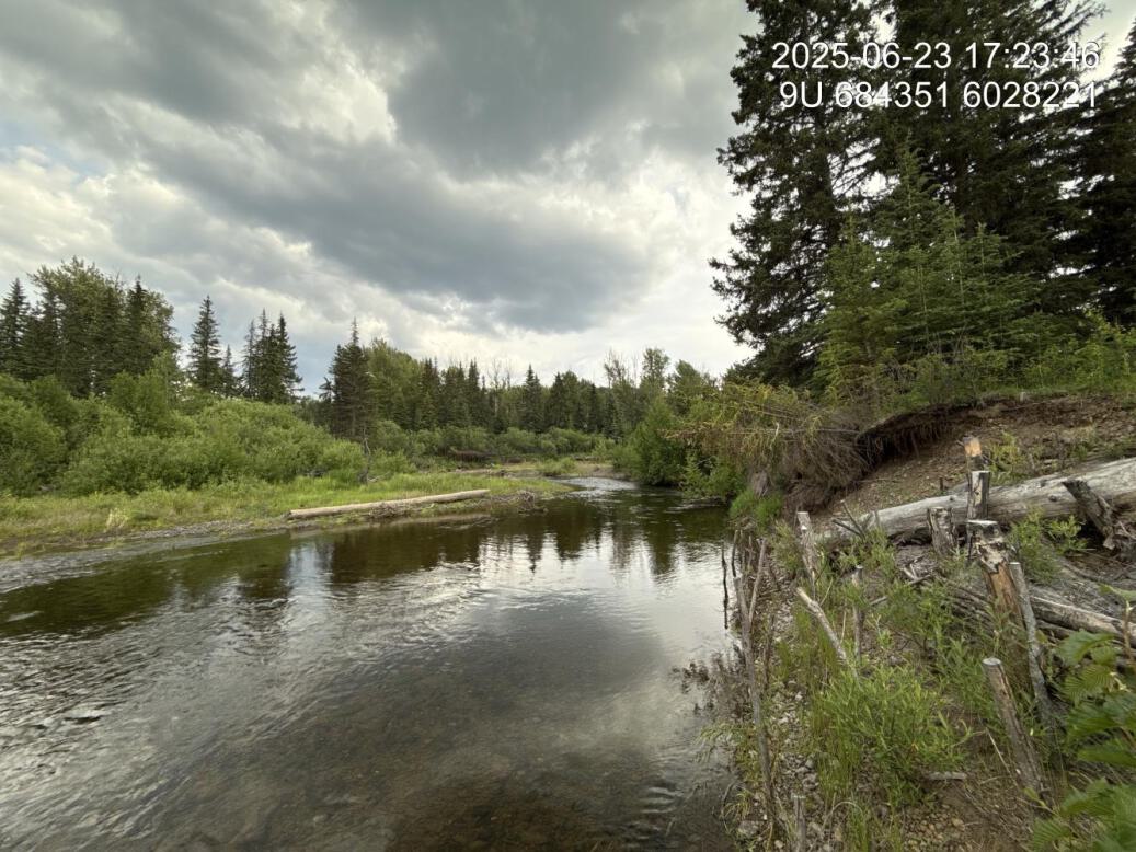 Riparian regrowth within site