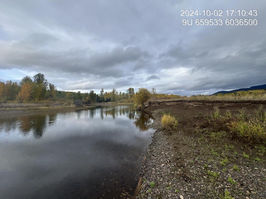 View of upstream end of site