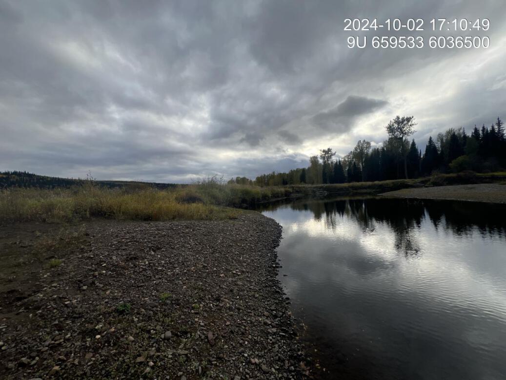 View of downstream end of site