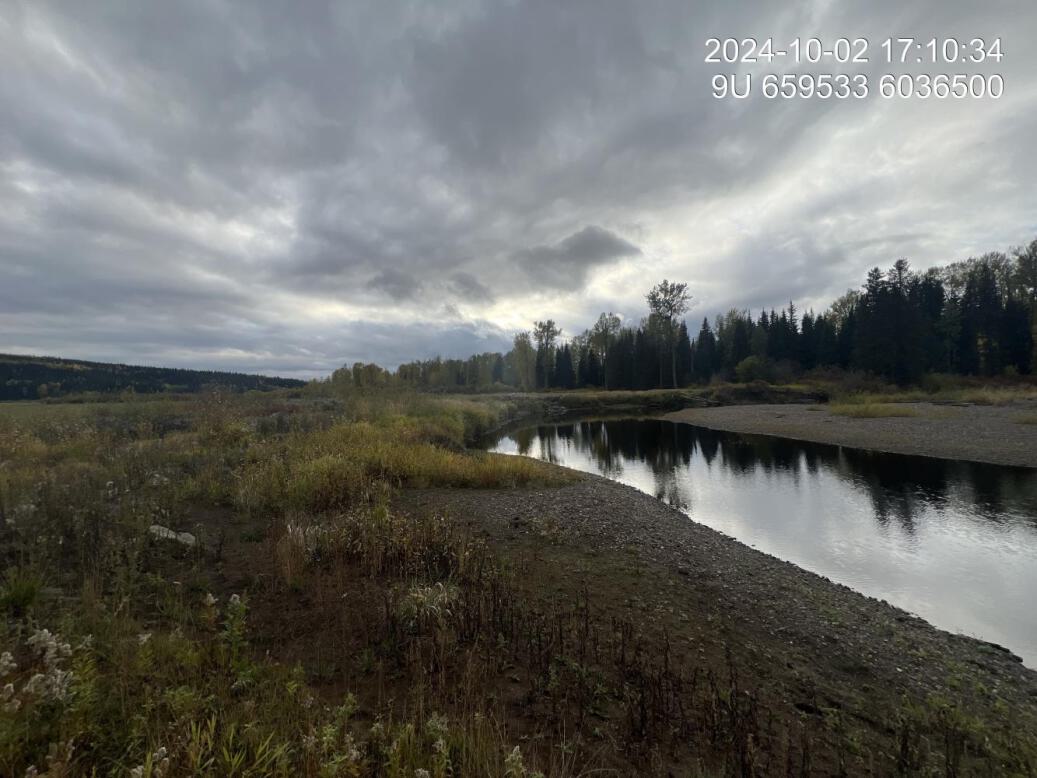 View of downstream end of site