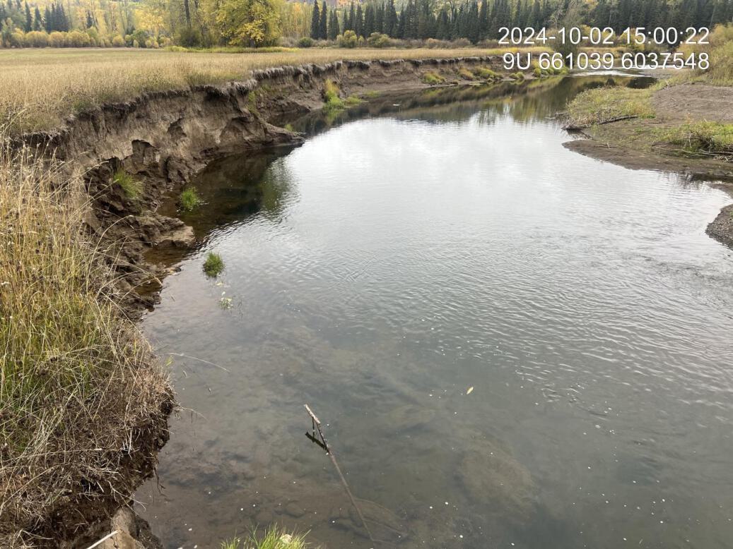 View of upstream end of site
