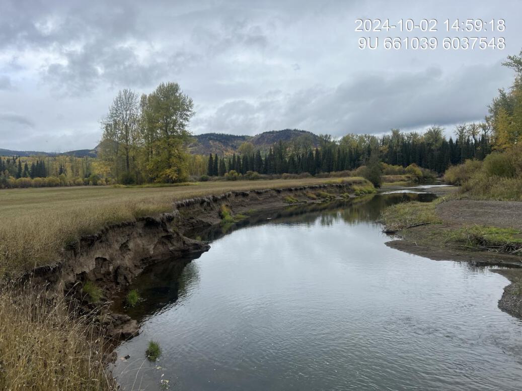 View of downstream end of site