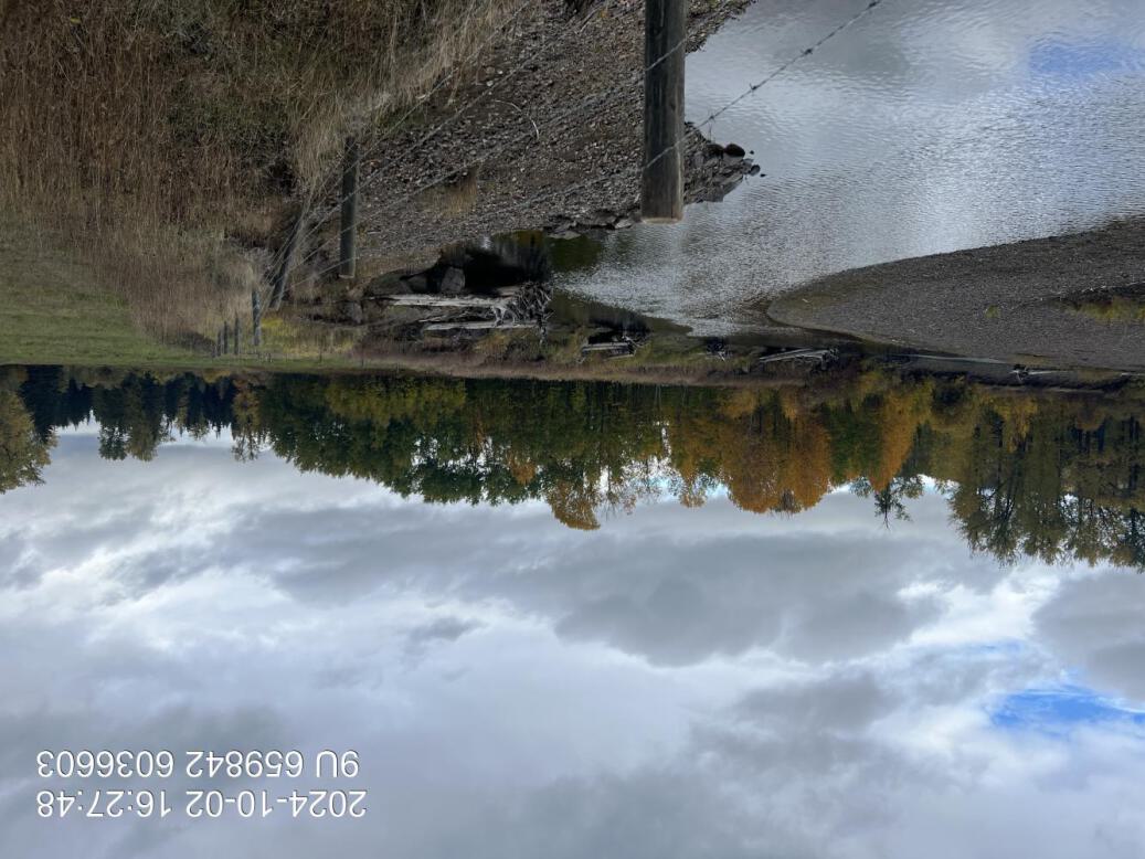 View of upstream end of site