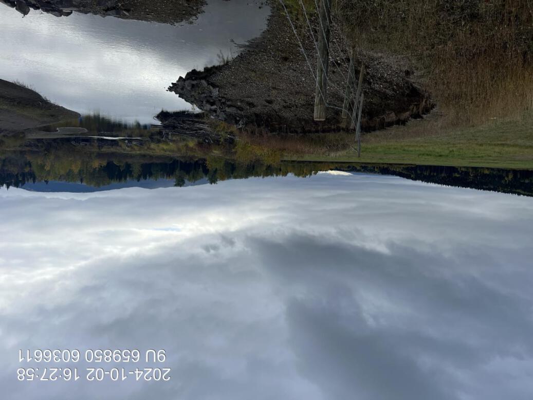 View of downstream end of site