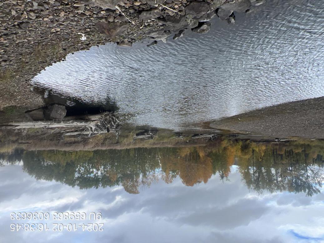 View of upstream end of site