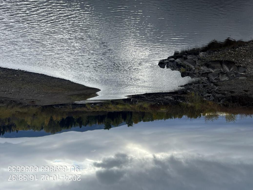 View of downstream end of site