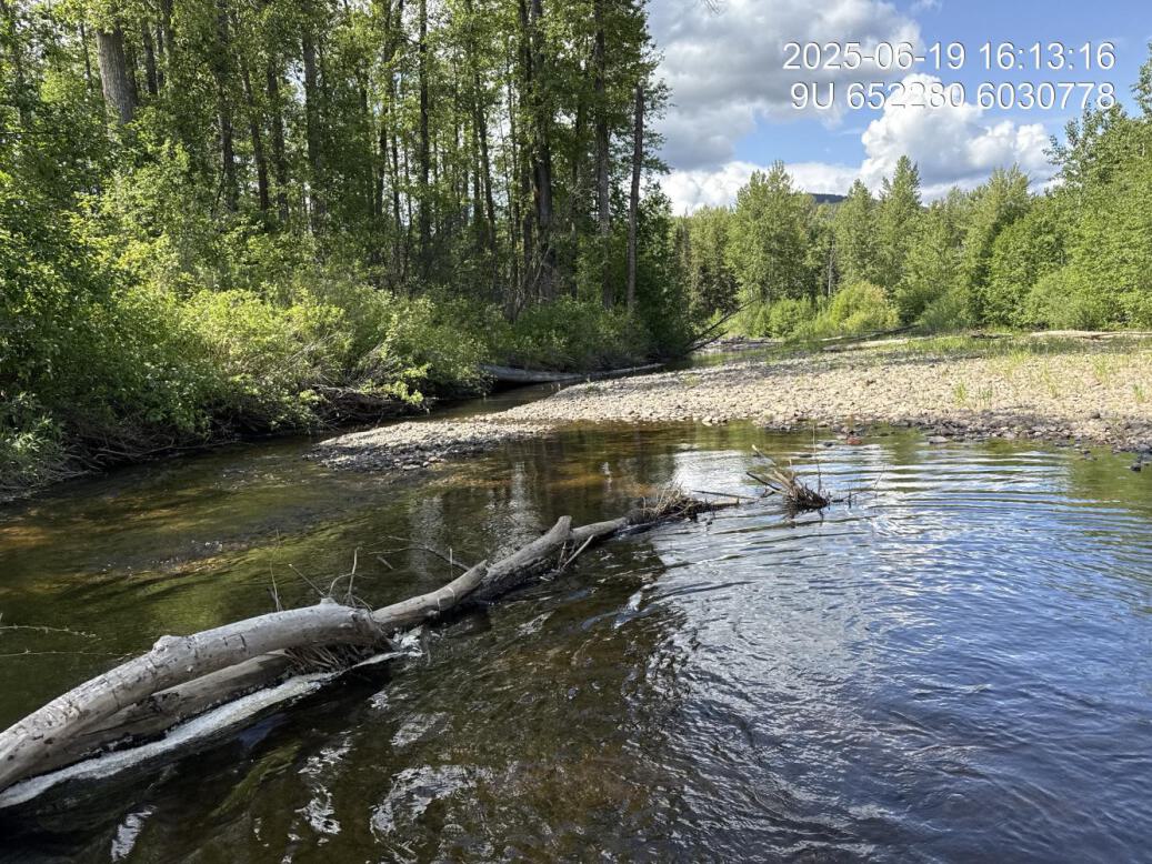 View of downstream end of site