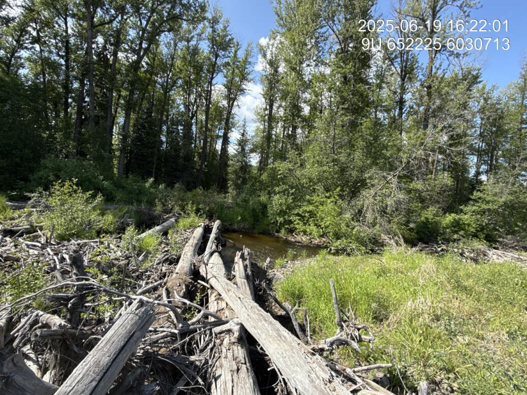 New channel downstream