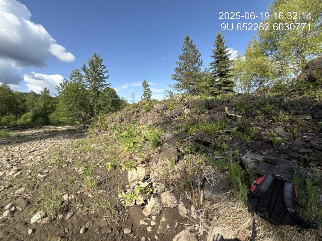 Vegetation removed at dyke