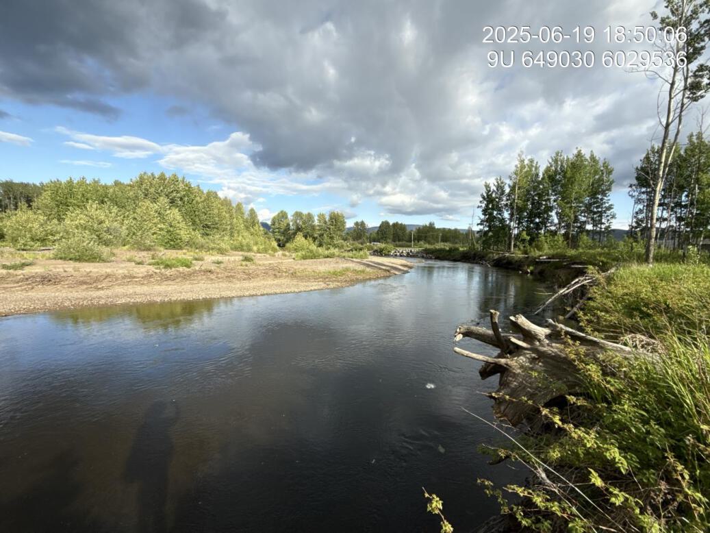 View of upstream end of site