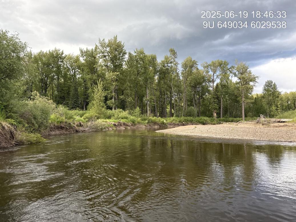 View of downstream end of site