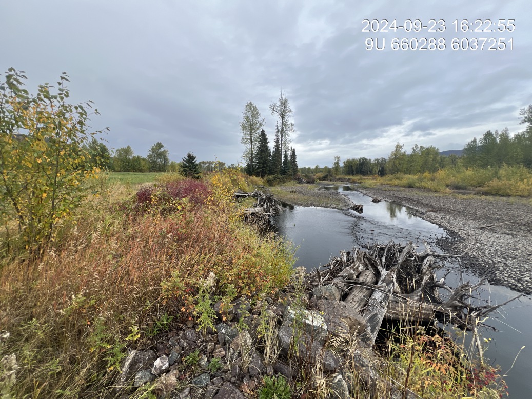 View of upstream end of site