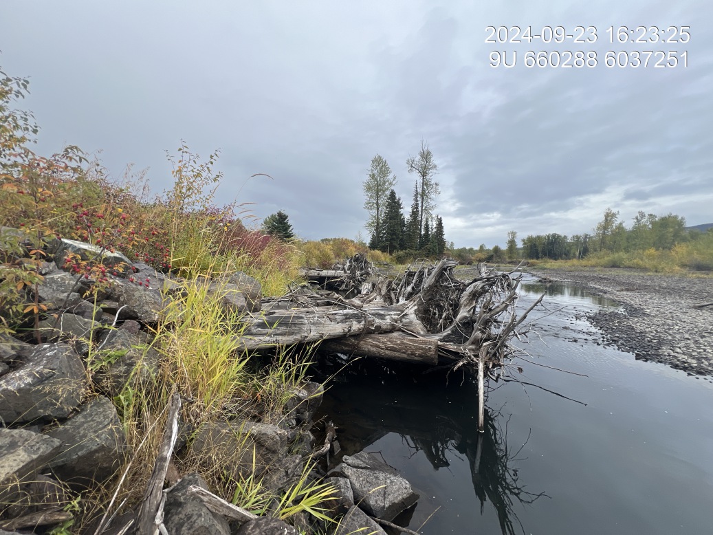 View of upstream end of site