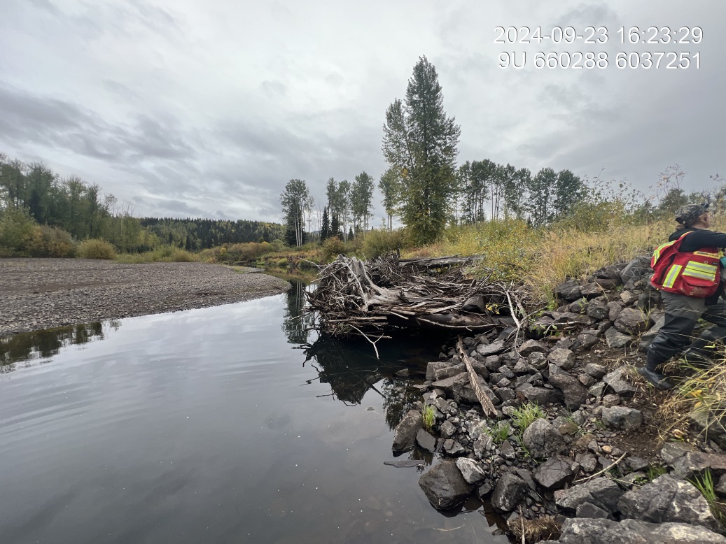View of downstream end of site