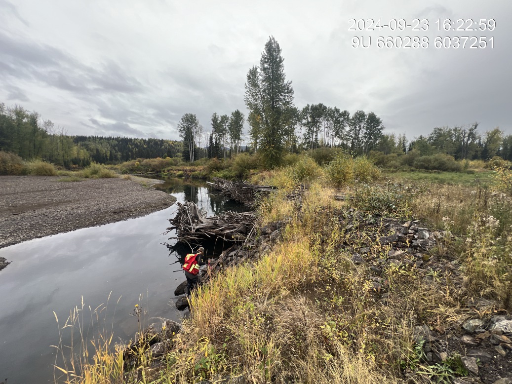 View of downstream end of site