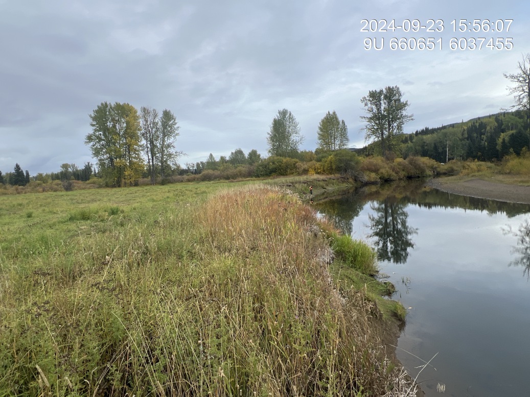 View of upstream end of site