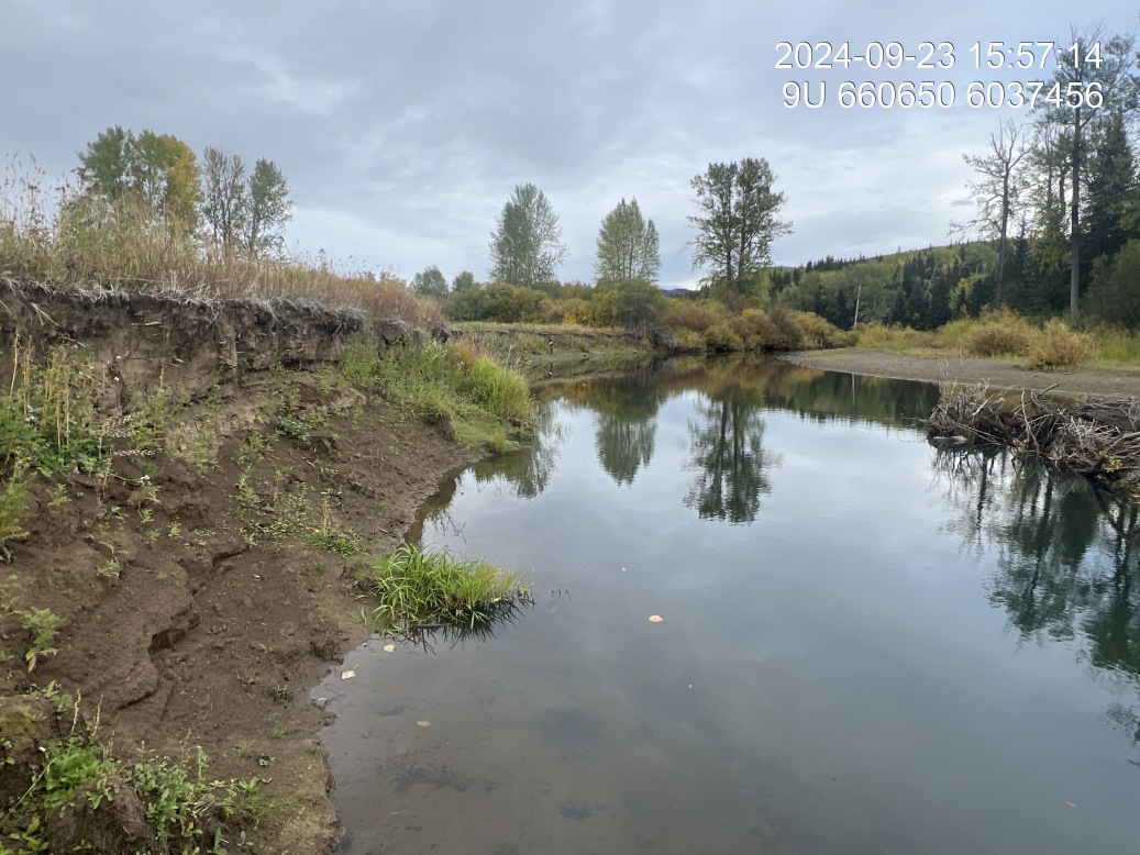 View of upstream end of site