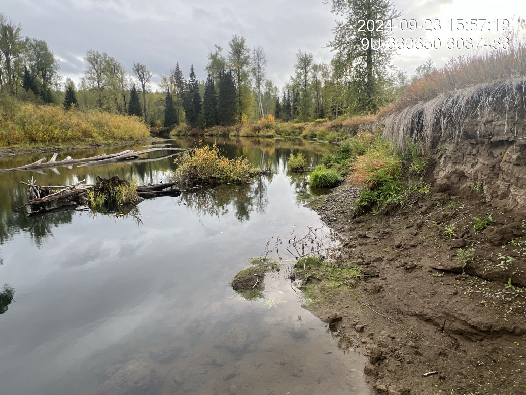 View of downstream end of site