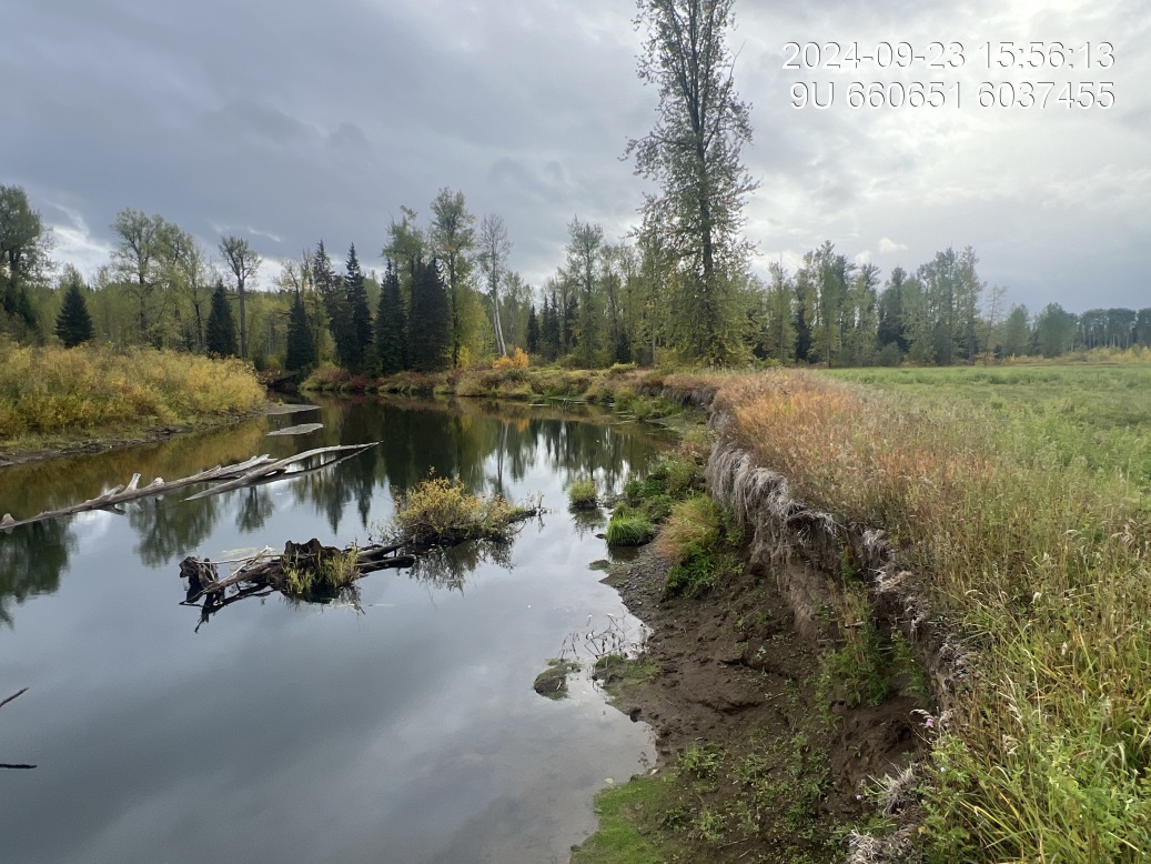 View of downstream end of site