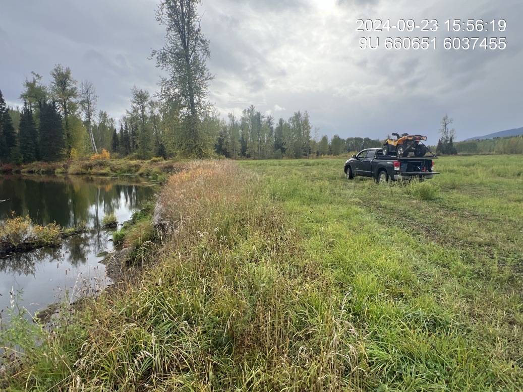 Riparian regrowth within site