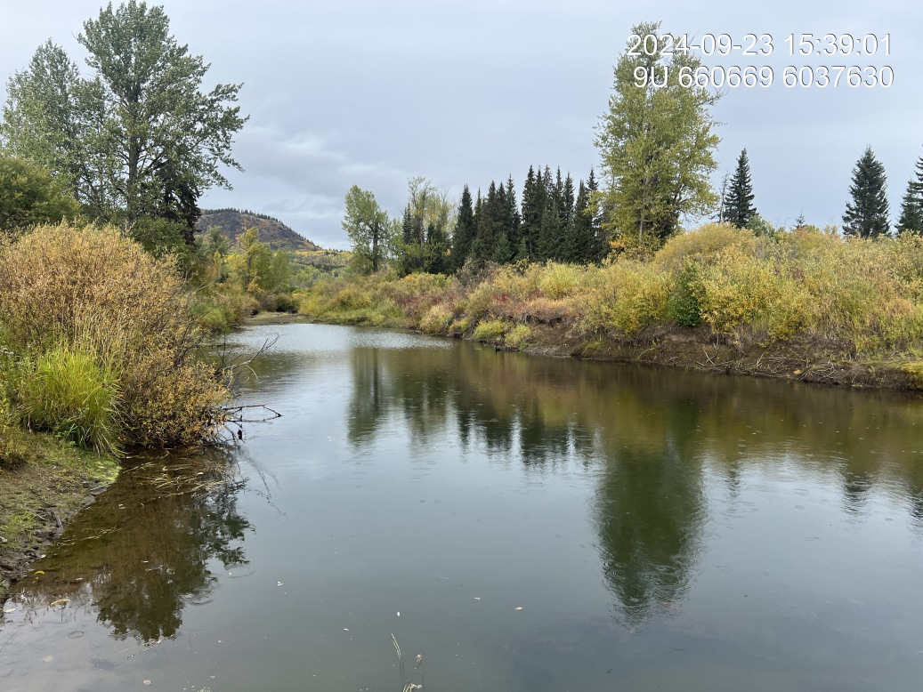 View of upstream end of site