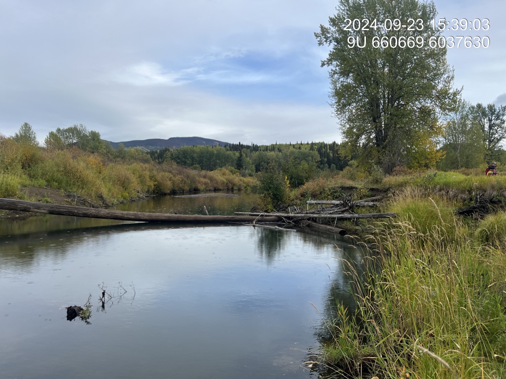 View of downstream end of site