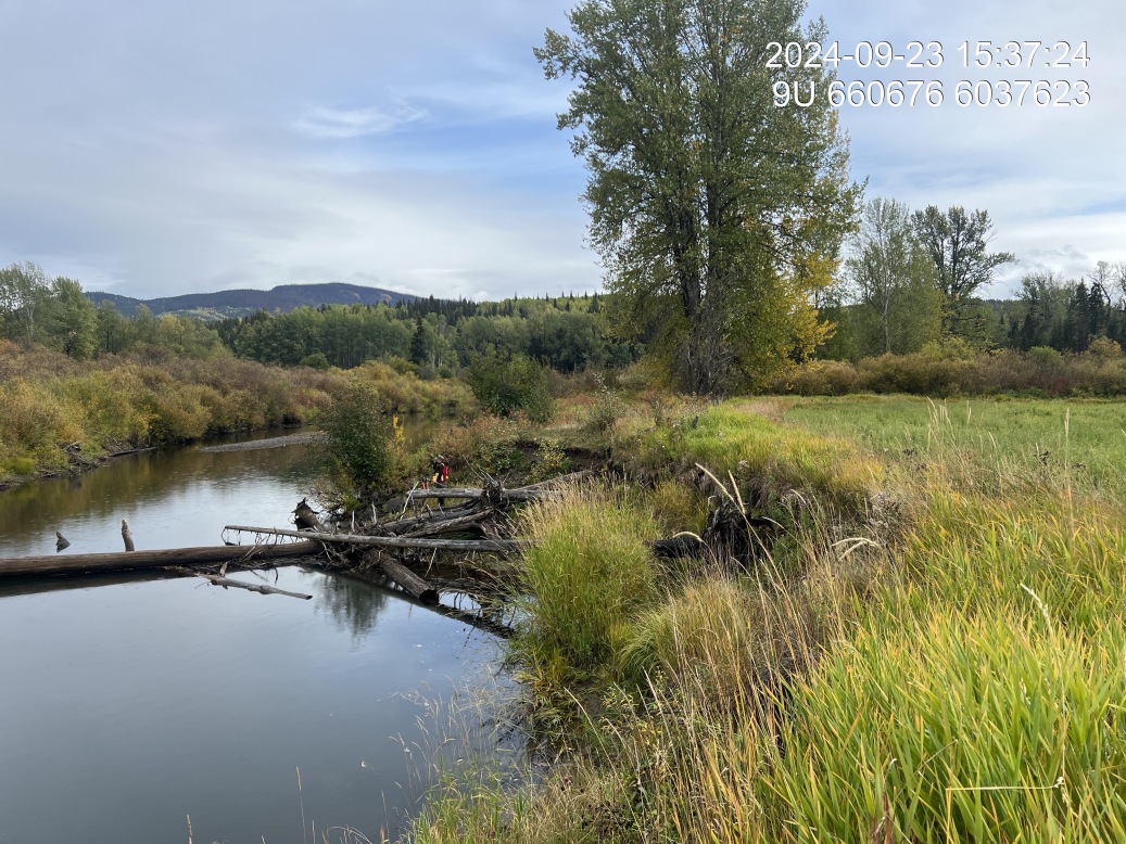 View of downstream end of site