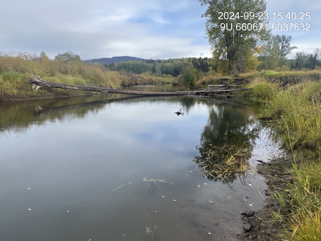 Large woody debris across channel