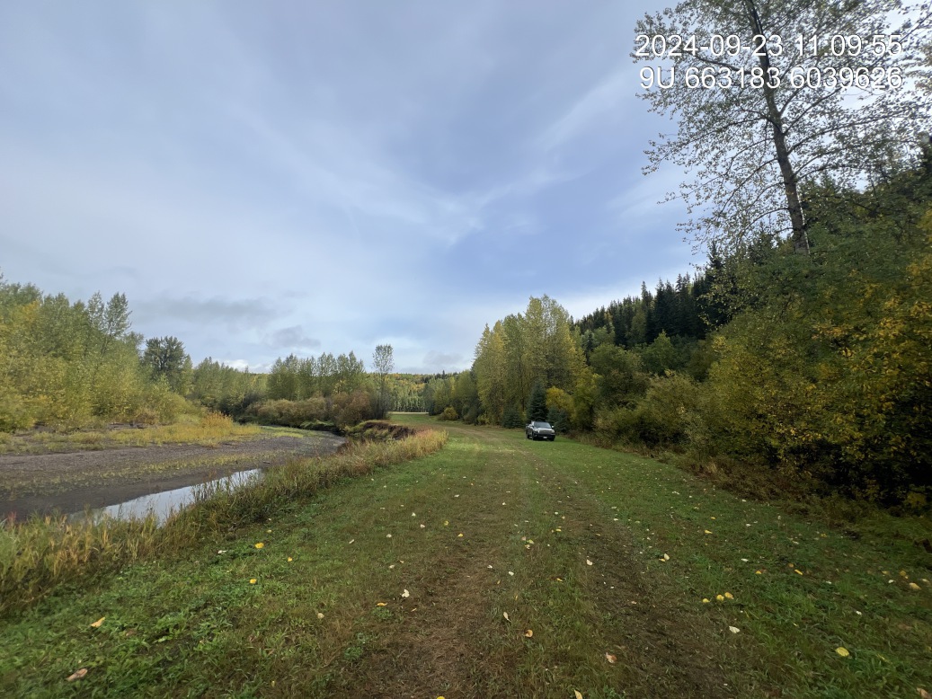 Riparian regrowth within site