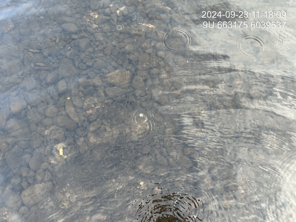 Substrate composition