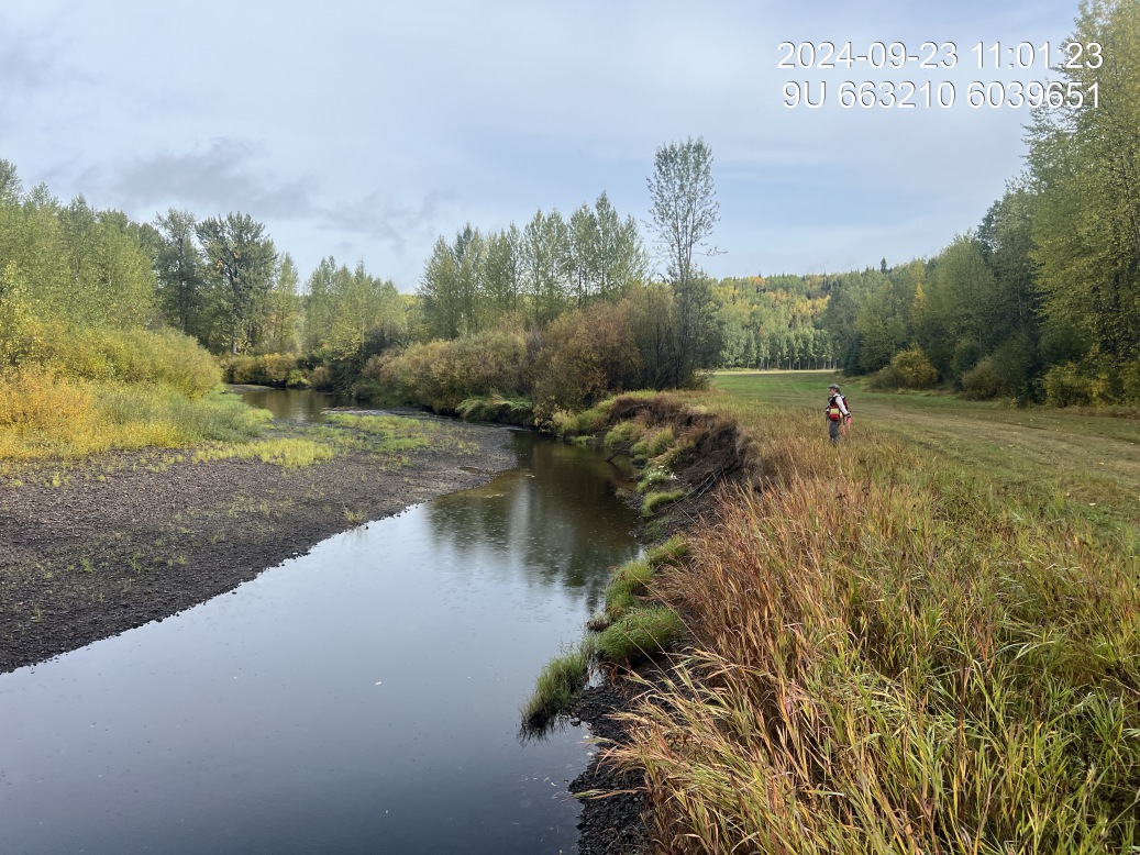 View of upstream end of site