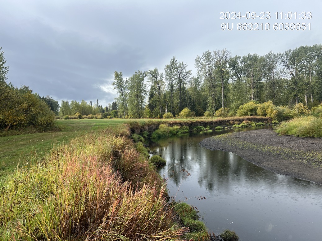 View of downstream end of site