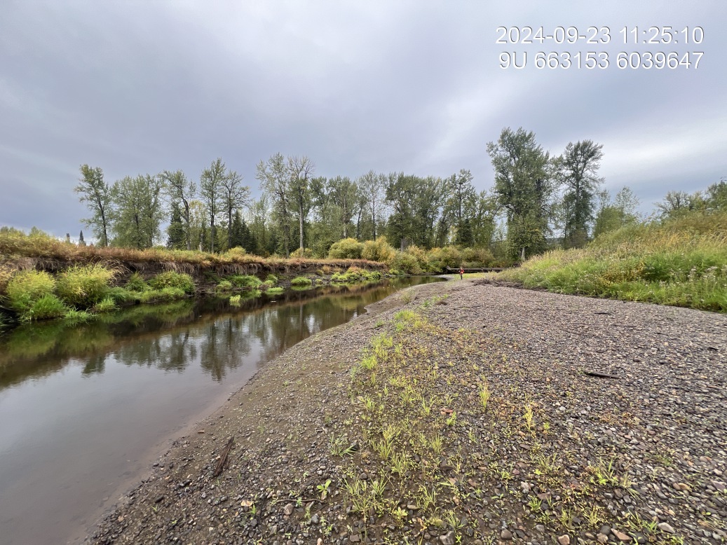 View of downstream end of site