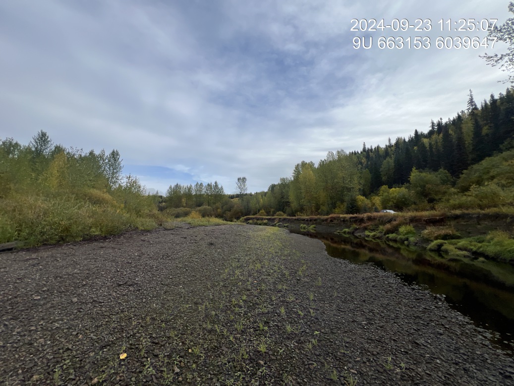 View of upstream end of site